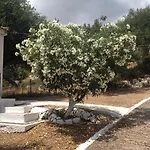 B&d 1 Ζόλα