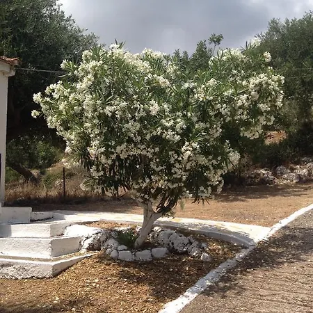 B&d 1 Ζόλα